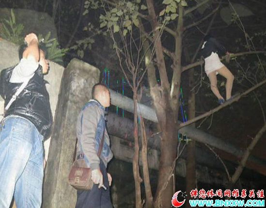 按此在新窗口浏览图片